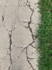Fototapeta premium Sidewalk with lots of cracks with grass
