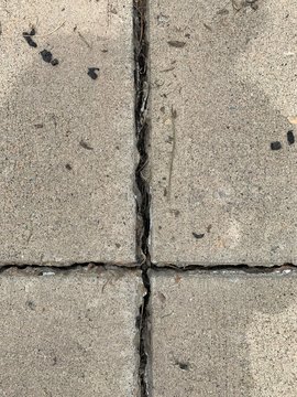 Cleaned out expansion joint in the sidewalk, ready to seal up