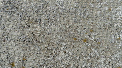 texture image for the background