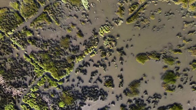 Aerial View of Puxadouro near the Aveiro Lagoon at Ovar, Aveiro, Portugal