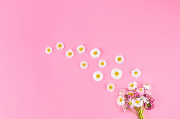 Creative layout floral composition made of daisy flowers bouquet on pink background.