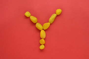 Letter Y made of old Yellow pebbles on a red background