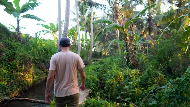 Young man in shorts and shirt with cap walks through jungle with palm trees along curving creek. Tracking shot.