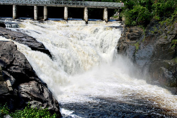 Obraz premium waterfall in the forest