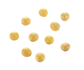 Soy beans isolated on white background.