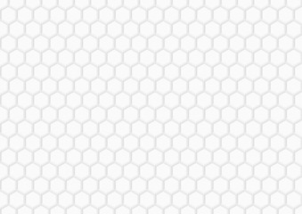 Fototapeta na wymiar Abstract white hexagon background. Creative design templates