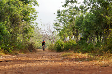 Fototapeta premium Mountain biker rides between the trees on bike singletrack trail.