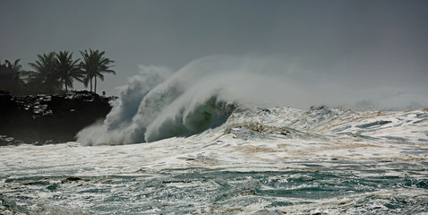 Cape and wave, Oahu