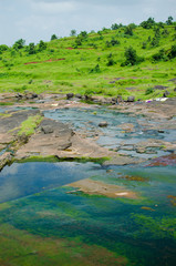 Colorful Algae in half dry river