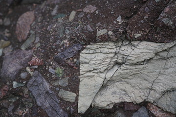 seaside breccia