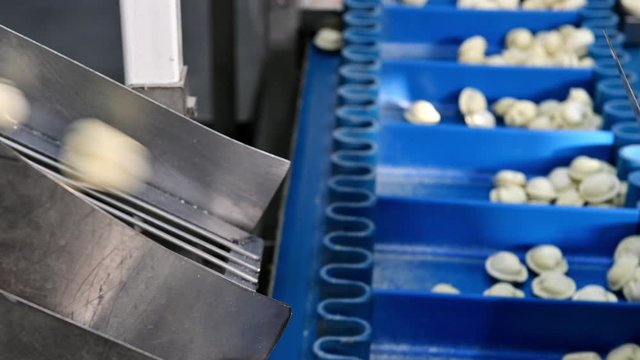 dumpling factory making process modern industry pelmeni