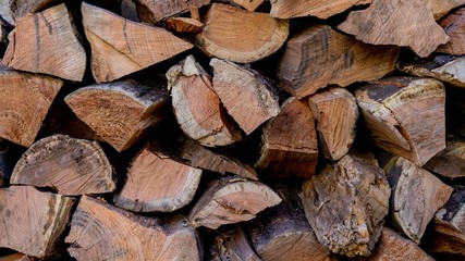 Fototapeta premium Los leños para el invierno que se avecina, calentitos siempre estamos con el calor de la salamandra