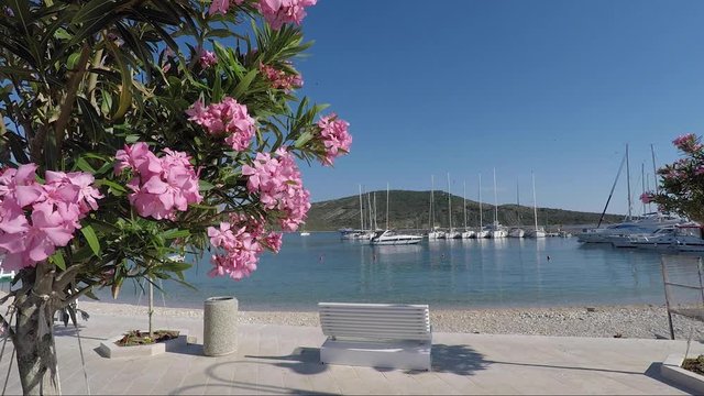 Hvar croatia slatni rat dubrovnik