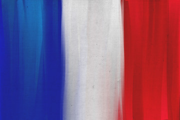 Hand painted France national flag