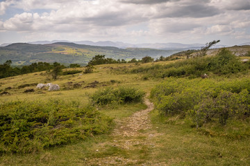 Fototapeta na wymiar Whitbarrow is a hill in Cumbria, England. Designated a biological Site of Special Scientific Interest and national nature reserve, it forms part of the Morecambe Bay Pavements