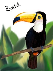 toucan on a branch