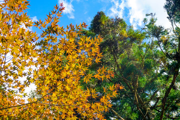 京都　貴船神社　参道