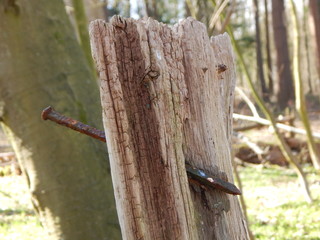 old wooden fence