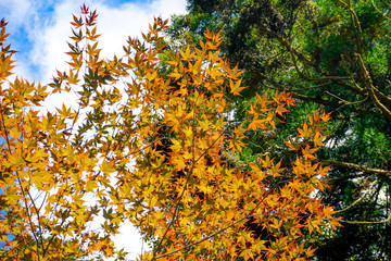 京都　貴船神社　参道