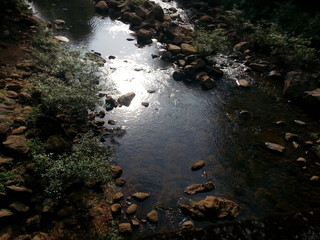 waterfall in the forest