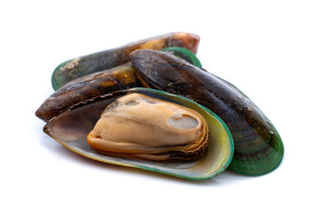 Fresh mussel isolated on white background