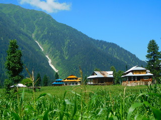 Lush green meadow and hut house in valley of Arang Kel in Neelum valley of Kashmir.