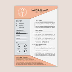Beautiful CV / Resume template - vector minimalist - color resume cv template