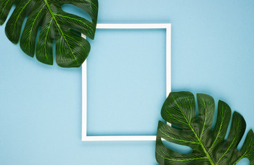 Creative layout made of tropical leaves and a white border on a pastel blue background. Concept of the beauty of nature. Exotic tropical background. Flat lay