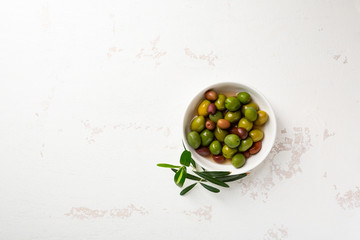 Overhead view of green pickled olive in white bowl and olive plant