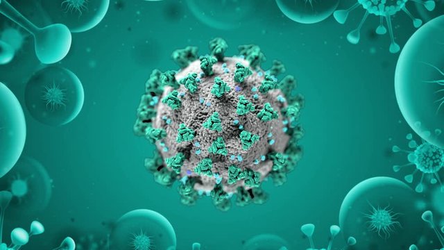 Bacteria Covid 19 Virus Animation 