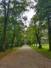 Fototapeta na wymiar Footpath in a German park in Munich