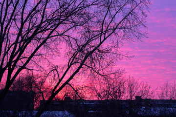 Lilac sunset in the city. Beautiful colorful sky.