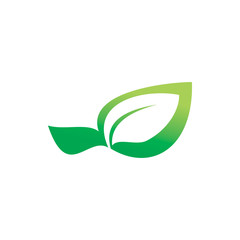 green nature leaf modern logo design