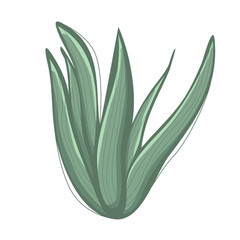 The leaves are grass green with a volume vector image