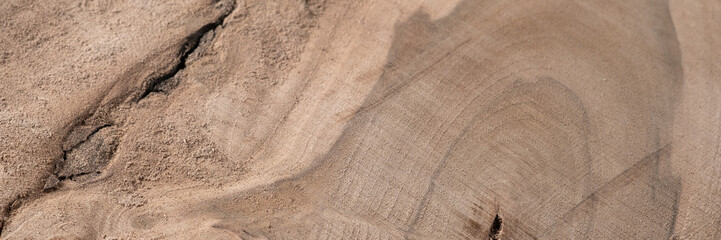 Wood texture background surface with old natural pattern. Texture of wood background close up. Top view. Copy space.