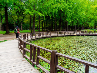 Nami Island, South Korea - Sep 20, 2019. People walking in Namiseom Island.