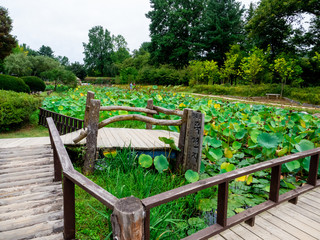 Obraz premium Nami Island, South Korea - Sep 20, 2019.