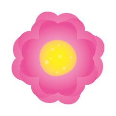 beautiful rose flower plant isolated icon