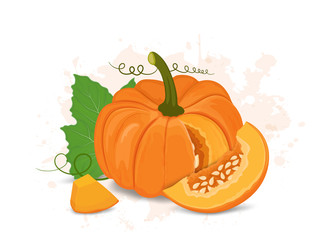 pumpkin vector illustration with pieces of pumpkin