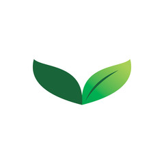 green nature leaf letter v logo design