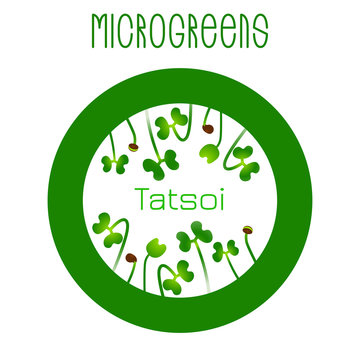 Microgreens Tatsoi. Seed packaging design, round element