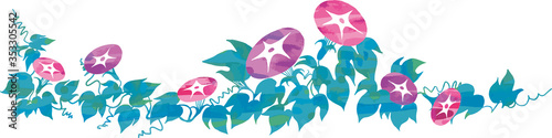 夏の朝顔の花の飾りのベクターイラスト Wall Mural Wallpaper Murals Skyflower