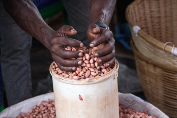 Bucket of peanuts being measured for sale
