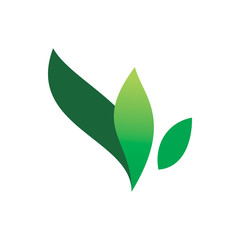 modern green nature leaf logo design