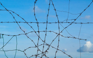 barbed wire tangle with blue sky and cloud
