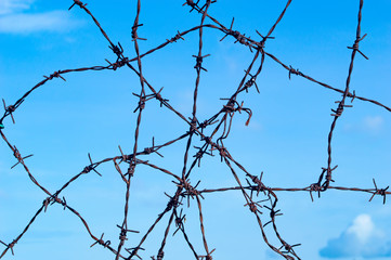 barbed wire tangle with blue sky and cloud