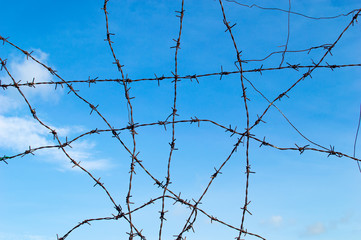 barbed wire tangle with blue sky and cloud
