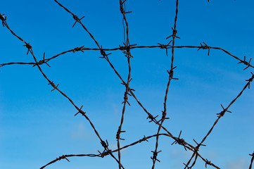barbed wire tangle with blue sky and cloud