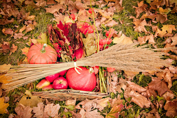 autumn leaves on the ground