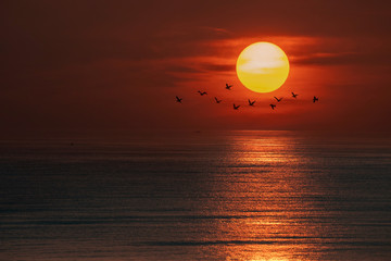 sunset over the sea